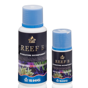 Reef B