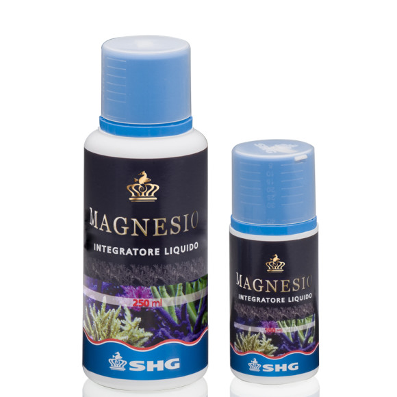 Magnesio