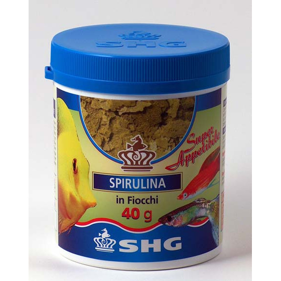 Spirulina fiocchi
