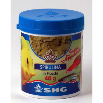 Spirulina fiocchi