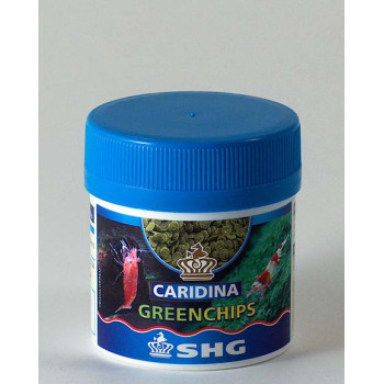 Caridina greenchips